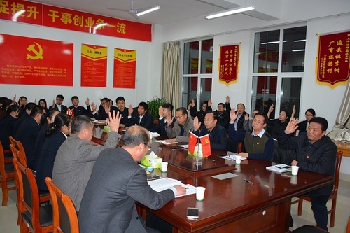 4 全体党员表决通过了《党员大会选举办法》、支委候选人名单、大会监、计票人员名单。.JPG